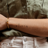 Glittering Butterflies