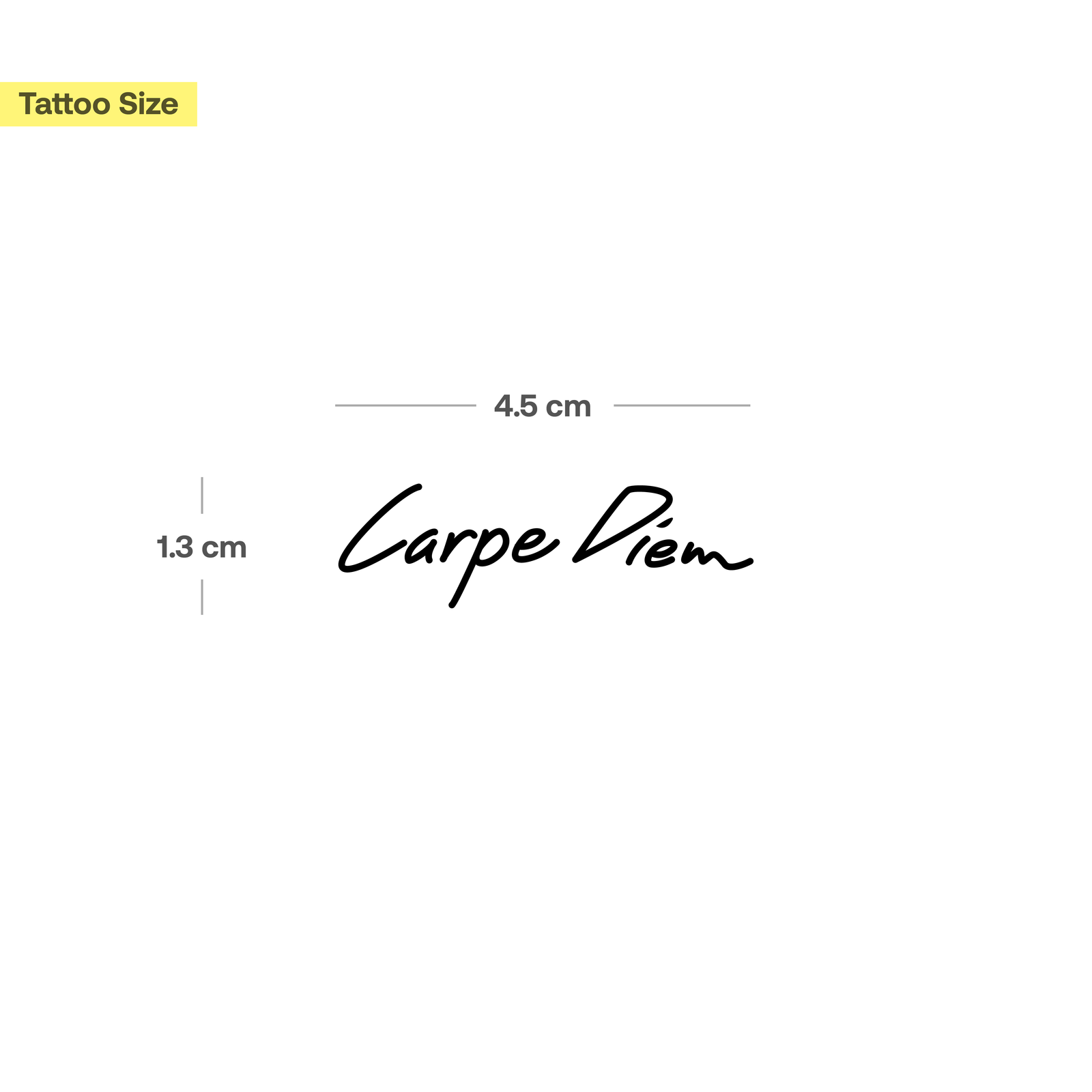 Wandtattoo 'Carpe Diem' – 70x60 Cm In Mint, Selbstklebend, Für Wand & Möbel