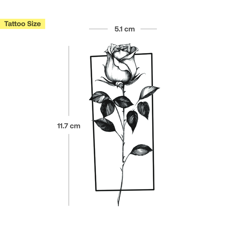 Rose mit Rahmen Tattoo